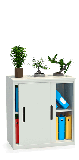 Шкаф-купе архивный ALS-8896