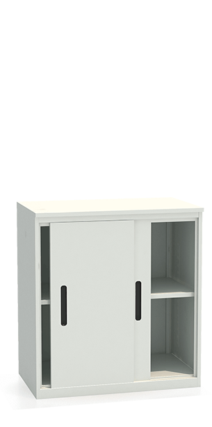 Шкаф-купе архивный ALS-8896